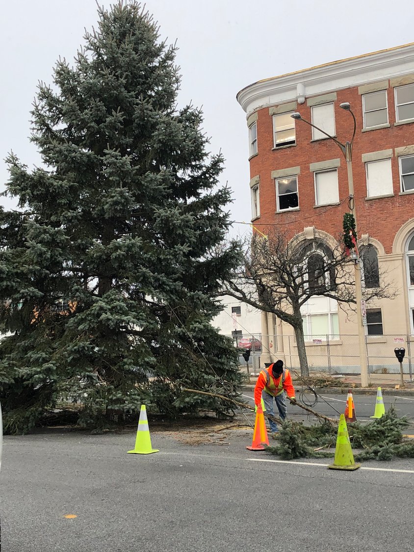 The City of Newburgh's 2020 Christmas Tree was delivered to Broadway on Wednesday.