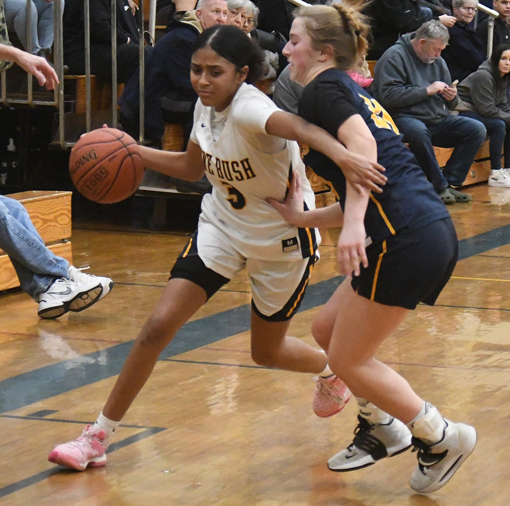 Pine Bush's Leticia Watson dribbles the basketball as Our Lady of Lourdes' Jackie Kozakiewicz defends during Saturday's Section 9 Class AA quarterfinal girls' basketball game at Pine Bush High School.