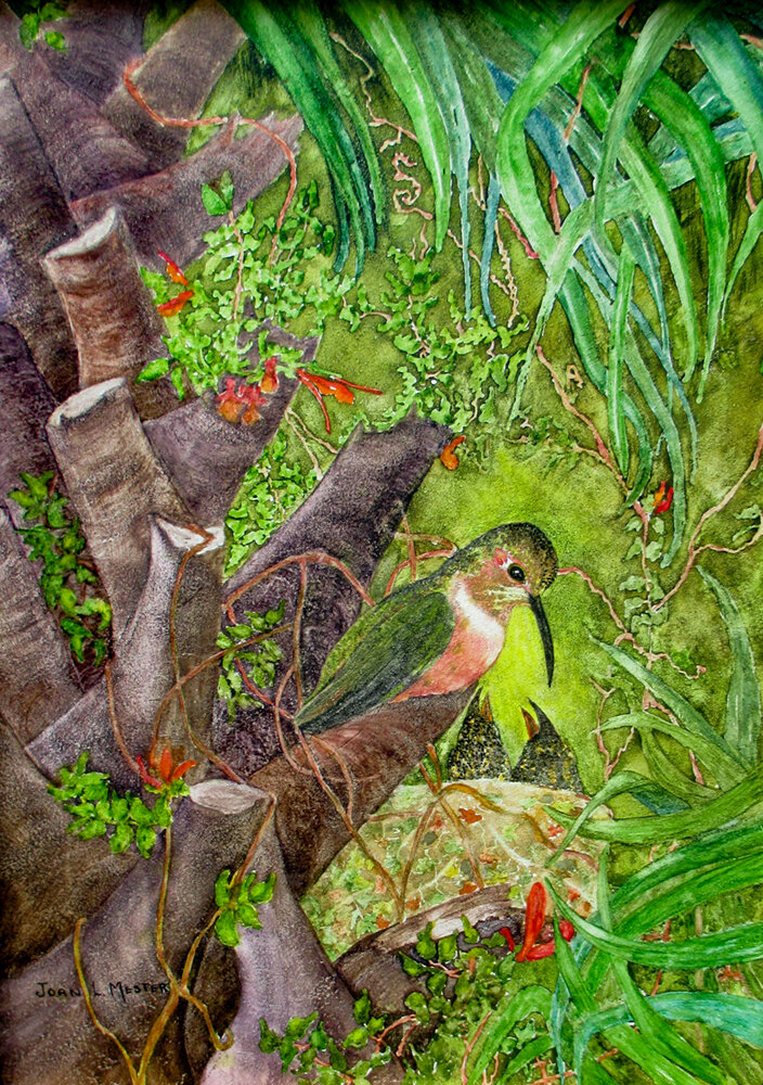 Hummingbird Nest, watercolor by Joan Mester, was an award of excellence winner.