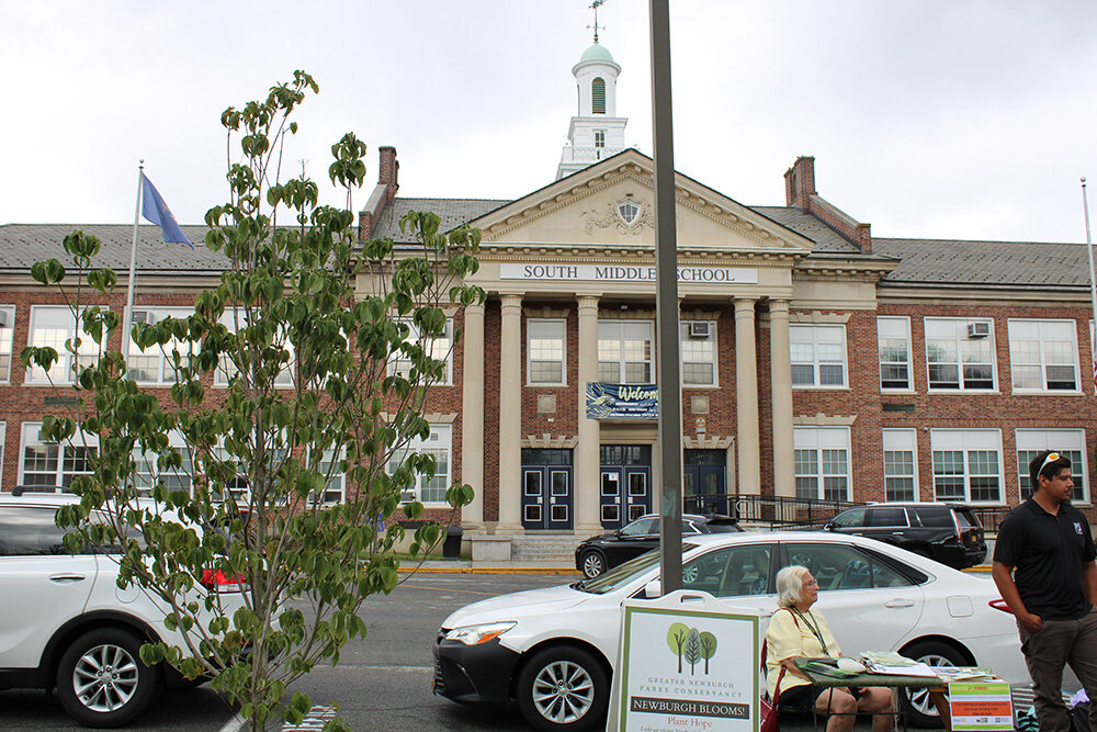 New trees planted in front of South Middle School continue the work of making the City of Newburgh a tree city.